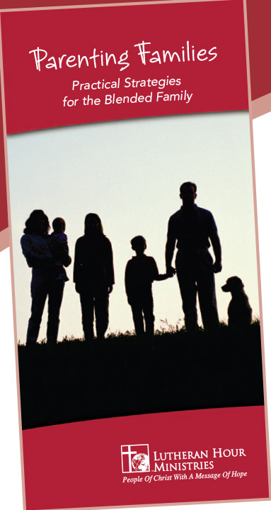 Parenting-Families---Strategies-for-the-Blended-Family-6BE122-1